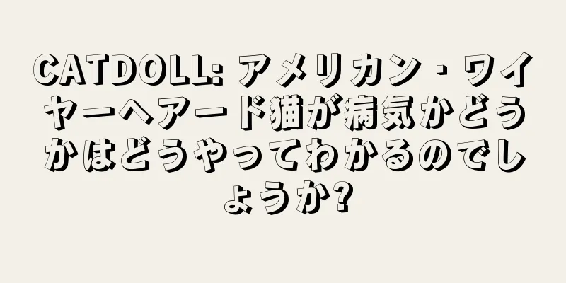 CATDOLL: アメリカン・ワイヤーヘアード猫が病気かどうかはどうやってわかるのでしょうか?