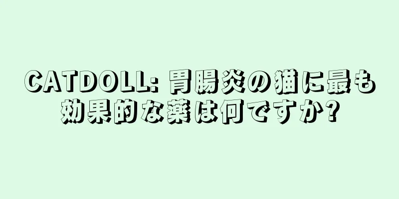 CATDOLL: 胃腸炎の猫に最も効果的な薬は何ですか?