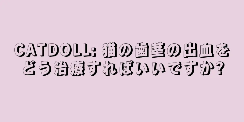 CATDOLL: 猫の歯茎の出血をどう治療すればいいですか?