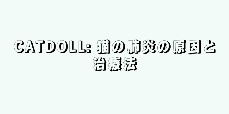 CATDOLL: 猫の肺炎の原因と治療法