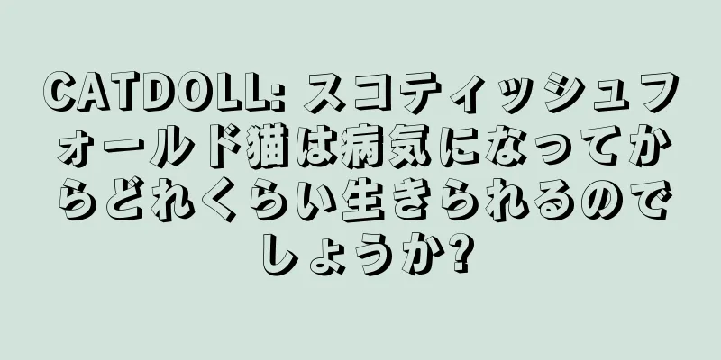 CATDOLL: スコティッシュフォールド猫は病気になってからどれくらい生きられるのでしょうか?