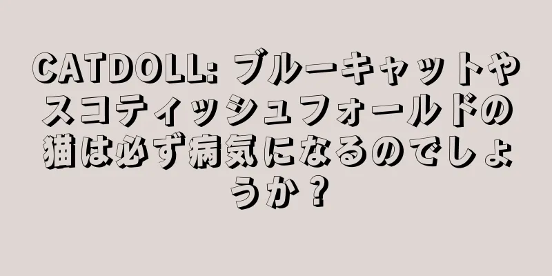 CATDOLL: ブルーキャットやスコティッシュフォールドの猫は必ず病気になるのでしょうか？