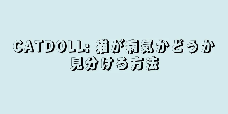 CATDOLL: 猫が病気かどうか見分ける方法