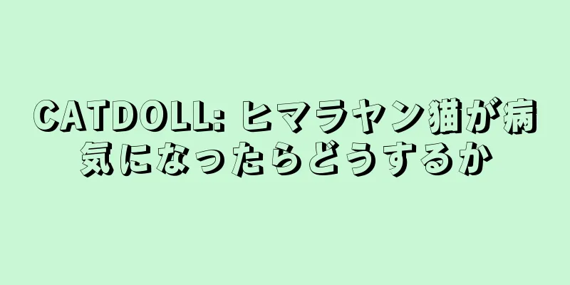 CATDOLL: ヒマラヤン猫が病気になったらどうするか