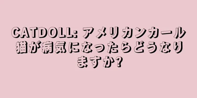 CATDOLL: アメリカンカール猫が病気になったらどうなりますか?