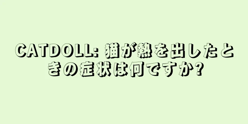 CATDOLL: 猫が熱を出したときの症状は何ですか?