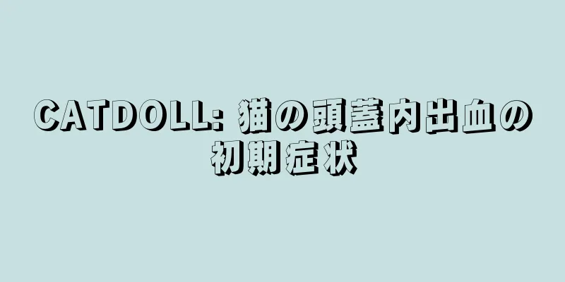 CATDOLL: 猫の頭蓋内出血の初期症状