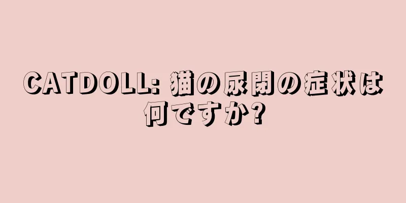 CATDOLL: 猫の尿閉の症状は何ですか?