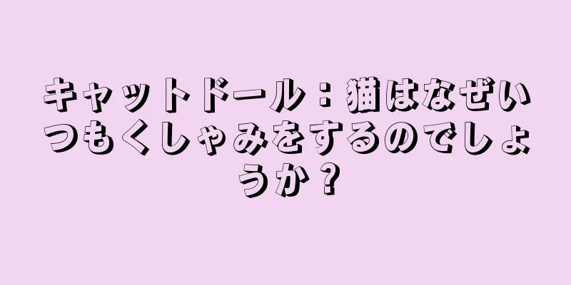 キャットドール：猫はなぜいつもくしゃみをするのでしょうか？