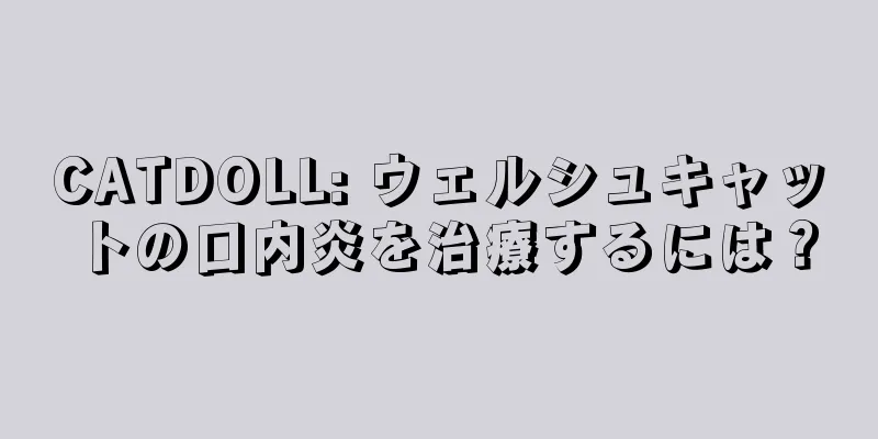 CATDOLL: ウェルシュキャットの口内炎を治療するには？