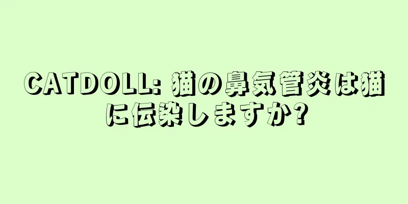 CATDOLL: 猫の鼻気管炎は猫に伝染しますか?