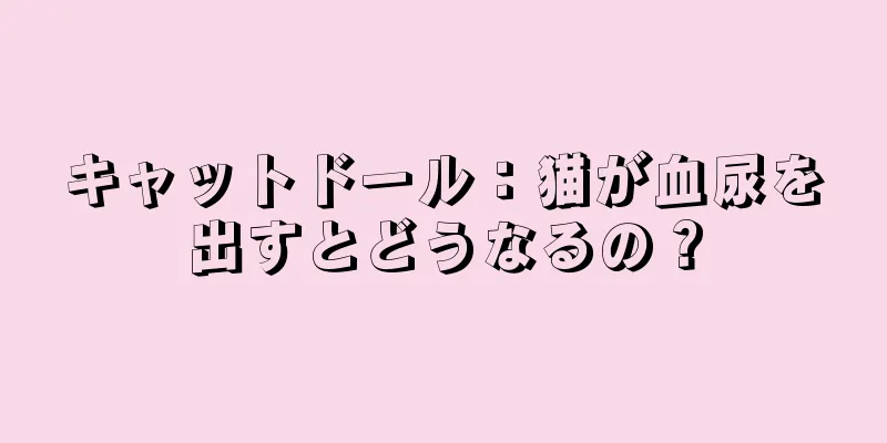 キャットドール：猫が血尿を出すとどうなるの？