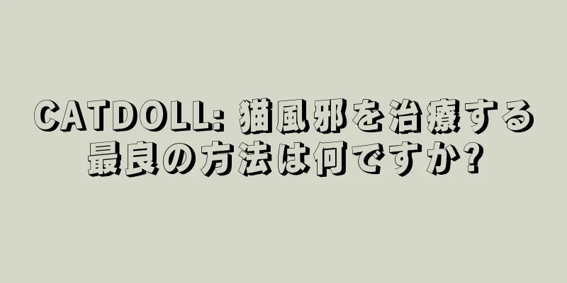 CATDOLL: 猫風邪を治療する最良の方法は何ですか?