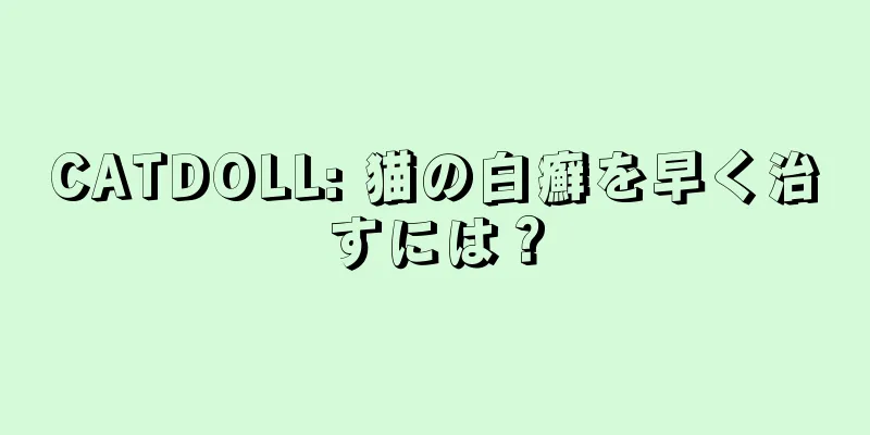 CATDOLL: 猫の白癬を早く治すには？