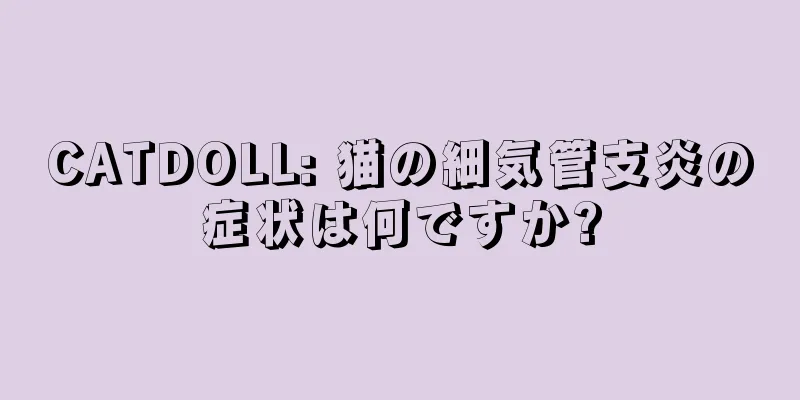 CATDOLL: 猫の細気管支炎の症状は何ですか?