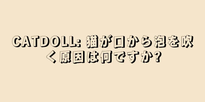 CATDOLL: 猫が口から泡を吹く原因は何ですか?