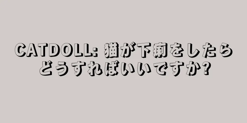 CATDOLL: 猫が下痢をしたらどうすればいいですか?