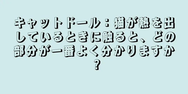 キャットドール：猫が熱を出しているときに触ると、どの部分が一番よく分かりますか？