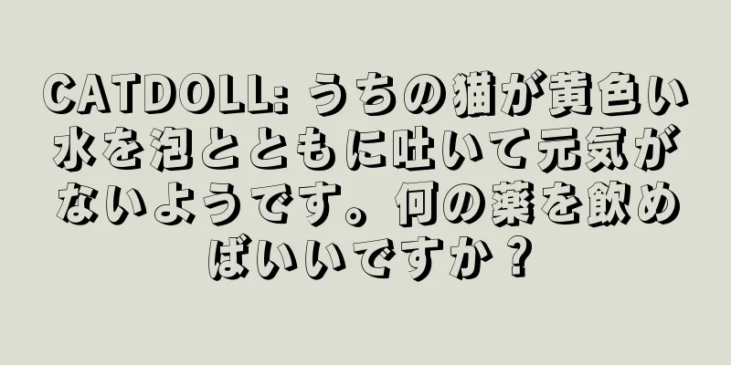 CATDOLL: うちの猫が黄色い水を泡とともに吐いて元気がないようです。何の薬を飲めばいいですか？
