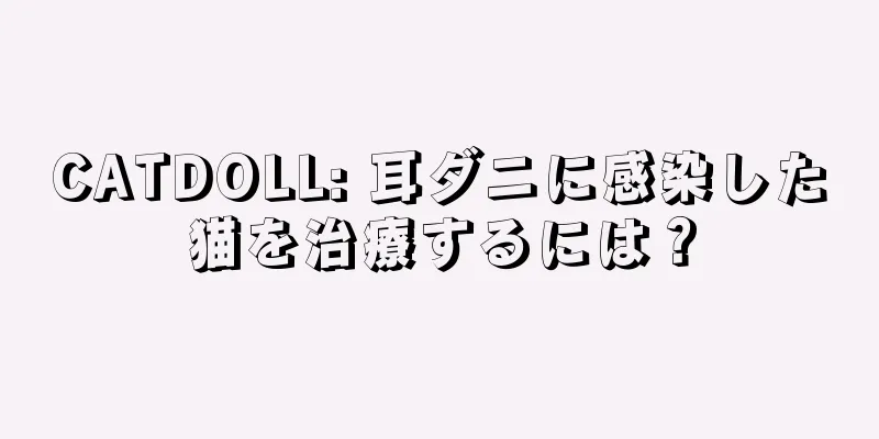 CATDOLL: 耳ダニに感染した猫を治療するには？