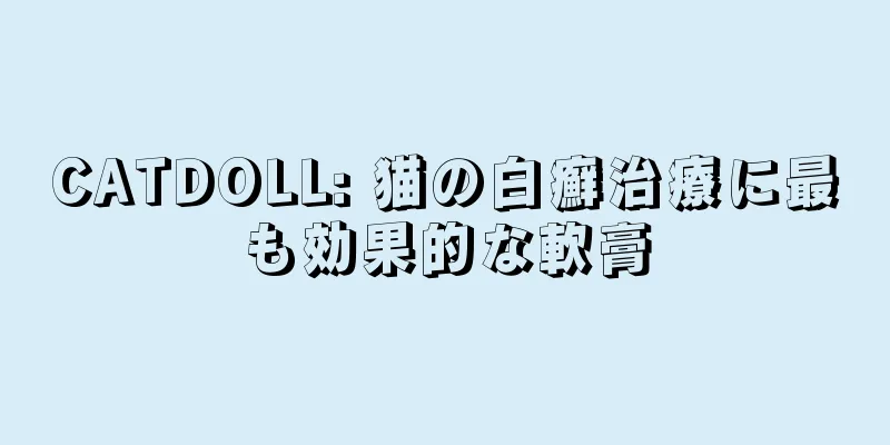 CATDOLL: 猫の白癬治療に最も効果的な軟膏