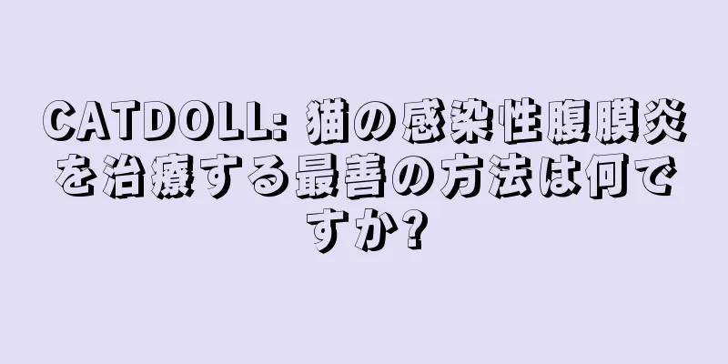 CATDOLL: 猫の感染性腹膜炎を治療する最善の方法は何ですか?