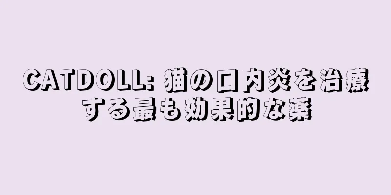 CATDOLL: 猫の口内炎を治療する最も効果的な薬