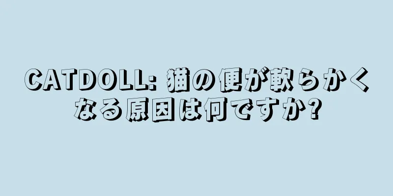 CATDOLL: 猫の便が軟らかくなる原因は何ですか?