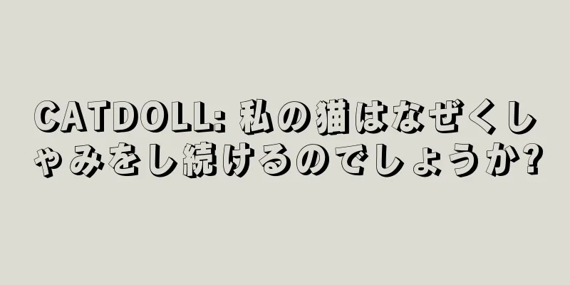 CATDOLL: 私の猫はなぜくしゃみをし続けるのでしょうか?