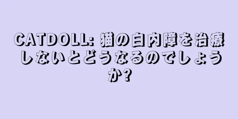CATDOLL: 猫の白内障を治療しないとどうなるのでしょうか?