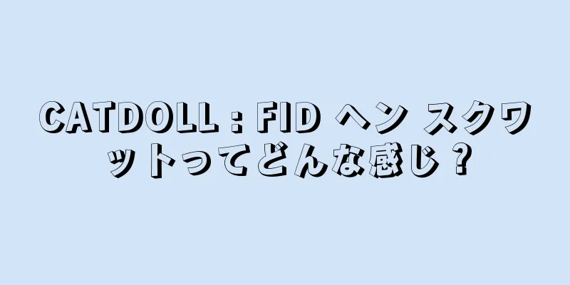 CATDOLL : FID ヘン スクワットってどんな感じ？