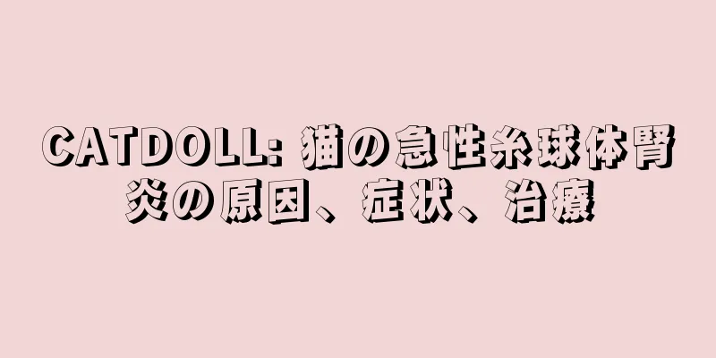 CATDOLL: 猫の急性糸球体腎炎の原因、症状、治療