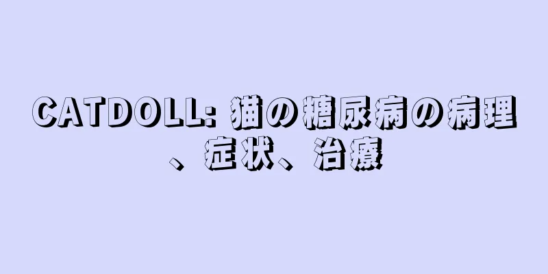 CATDOLL: 猫の糖尿病の病理、症状、治療