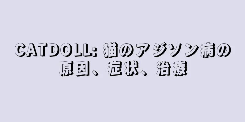 CATDOLL: 猫のアジソン病の原因、症状、治療