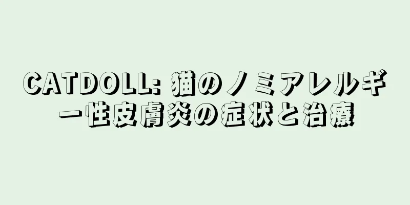 CATDOLL: 猫のノミアレルギー性皮膚炎の症状と治療