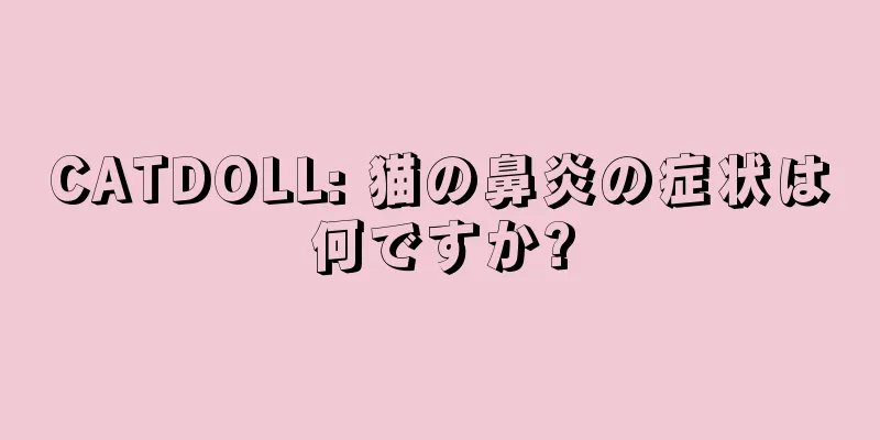 CATDOLL: 猫の鼻炎の症状は何ですか?