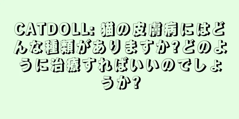 CATDOLL: 猫の皮膚病にはどんな種類がありますか?どのように治療すればいいのでしょうか?