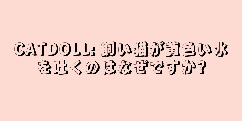 CATDOLL: 飼い猫が黄色い水を吐くのはなぜですか?