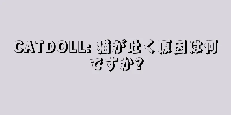 CATDOLL: 猫が吐く原因は何ですか?