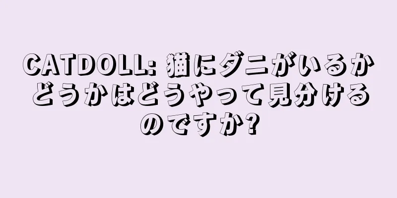CATDOLL: 猫にダニがいるかどうかはどうやって見分けるのですか?