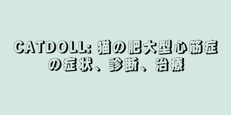 CATDOLL: 猫の肥大型心筋症の症状、診断、治療