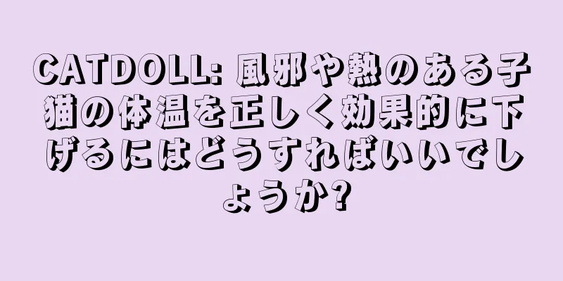 CATDOLL: 風邪や熱のある子猫の体温を正しく効果的に下げるにはどうすればいいでしょうか?