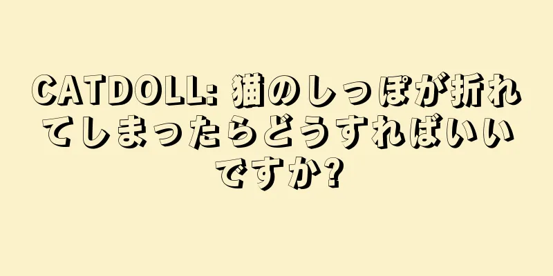 CATDOLL: 猫のしっぽが折れてしまったらどうすればいいですか?