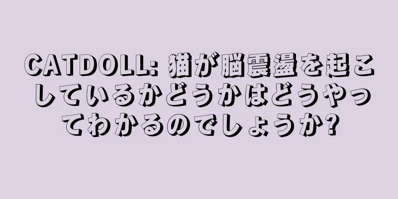CATDOLL: 猫が脳震盪を起こしているかどうかはどうやってわかるのでしょうか?
