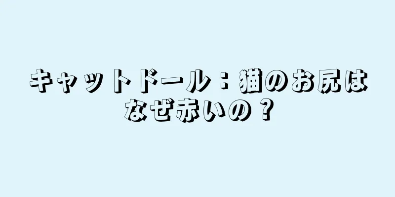 キャットドール：猫のお尻はなぜ赤いの？