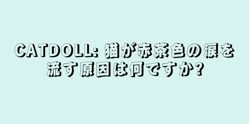 CATDOLL: 猫が赤茶色の涙を流す原因は何ですか?