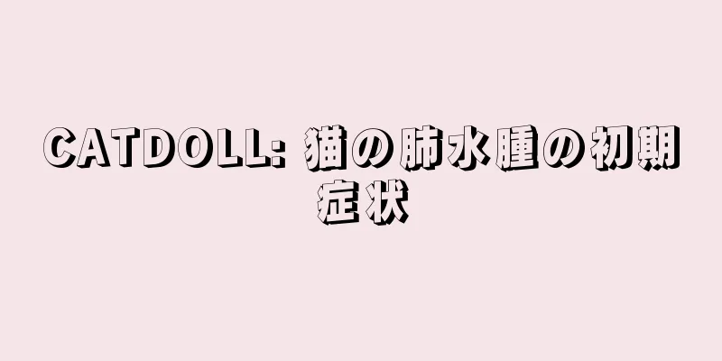 CATDOLL: 猫の肺水腫の初期症状