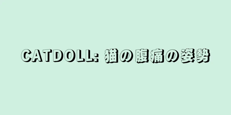 CATDOLL: 猫の腹痛の姿勢