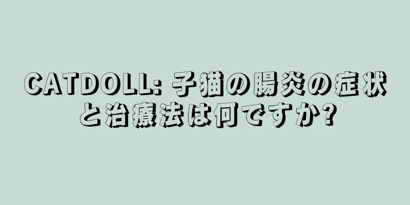 CATDOLL: 子猫の腸炎の症状と治療法は何ですか?