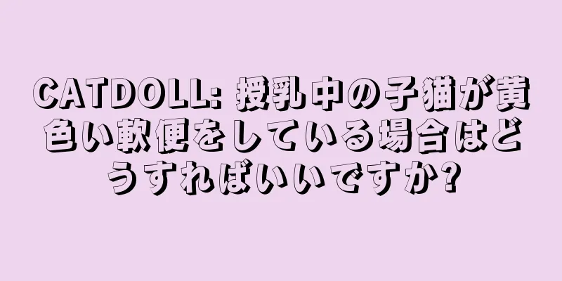 CATDOLL: 授乳中の子猫が黄色い軟便をしている場合はどうすればいいですか?